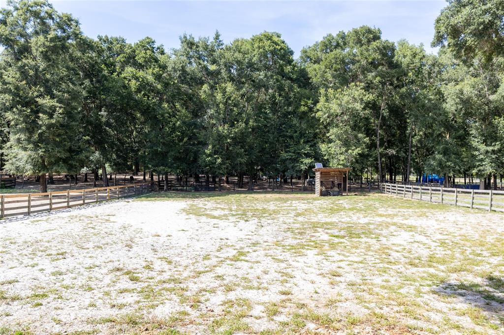 9106 Southwest 124 Street Archer, FL 32618 - Photo 36 of 57 a view of swimming pool with large trees