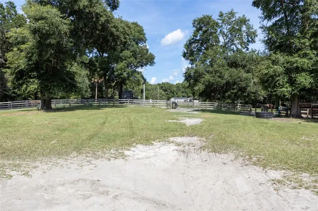 a view of a park with large trees