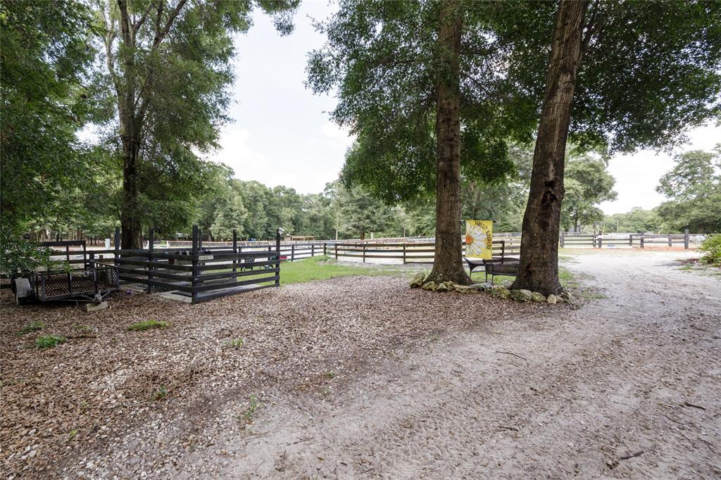 9106 Southwest 124 Street Archer, FL 32618 - Photo 44 of 57 a view of backyard with green space