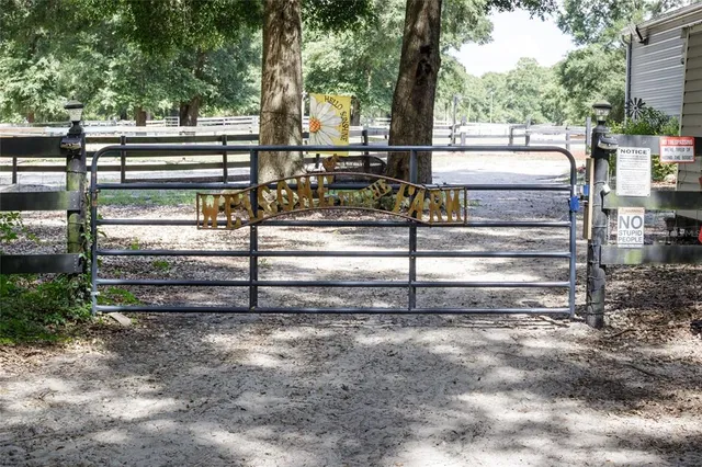 a view of a garden with plants and large trees