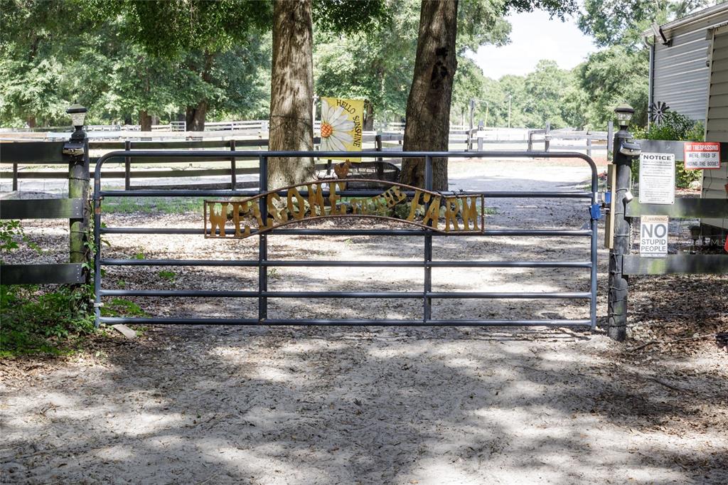 9106 Southwest 124 Street Archer, FL 32618 - Photo 46 of 57 a view of backyard with wooden fence