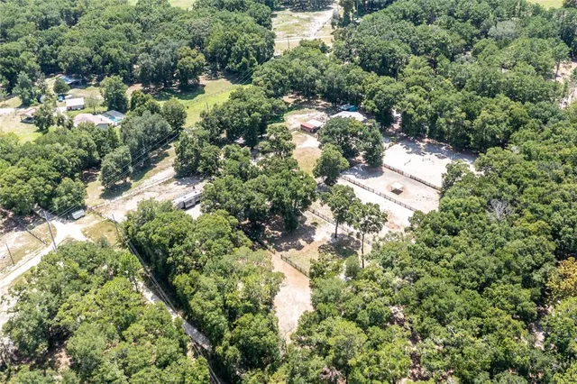 a view of a garden with plants