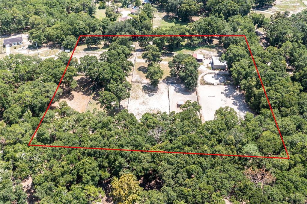 9106 Southwest 124 Street Archer, FL 32618 - Photo 51 of 57 a view of a lake with a tree