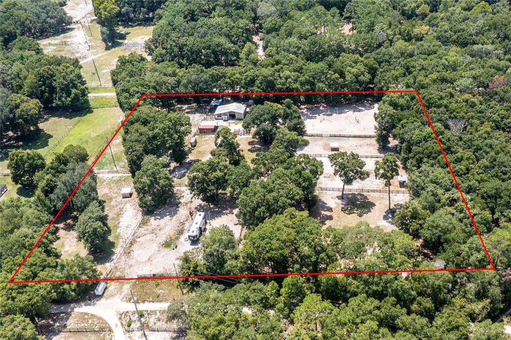 9106 Southwest 124 Street Archer, FL 32618 - Photo 52 of 57 a view of a garden with plants and large trees