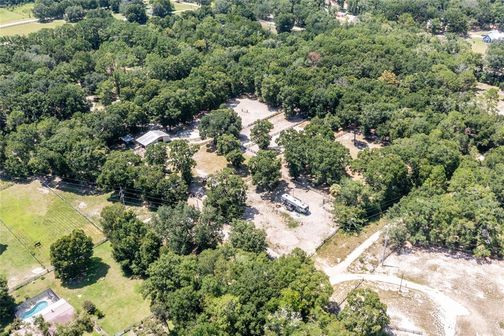 9106 Southwest 124 Street Archer, FL 32618 - Photo 53 of 57 a view of a forest with a houses