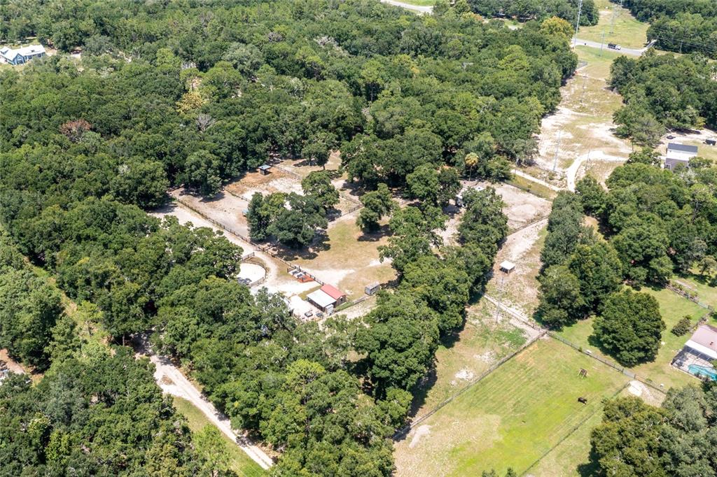 9106 Southwest 124 Street Archer, FL 32618 - Photo 55 of 57 a view of a garden with plants