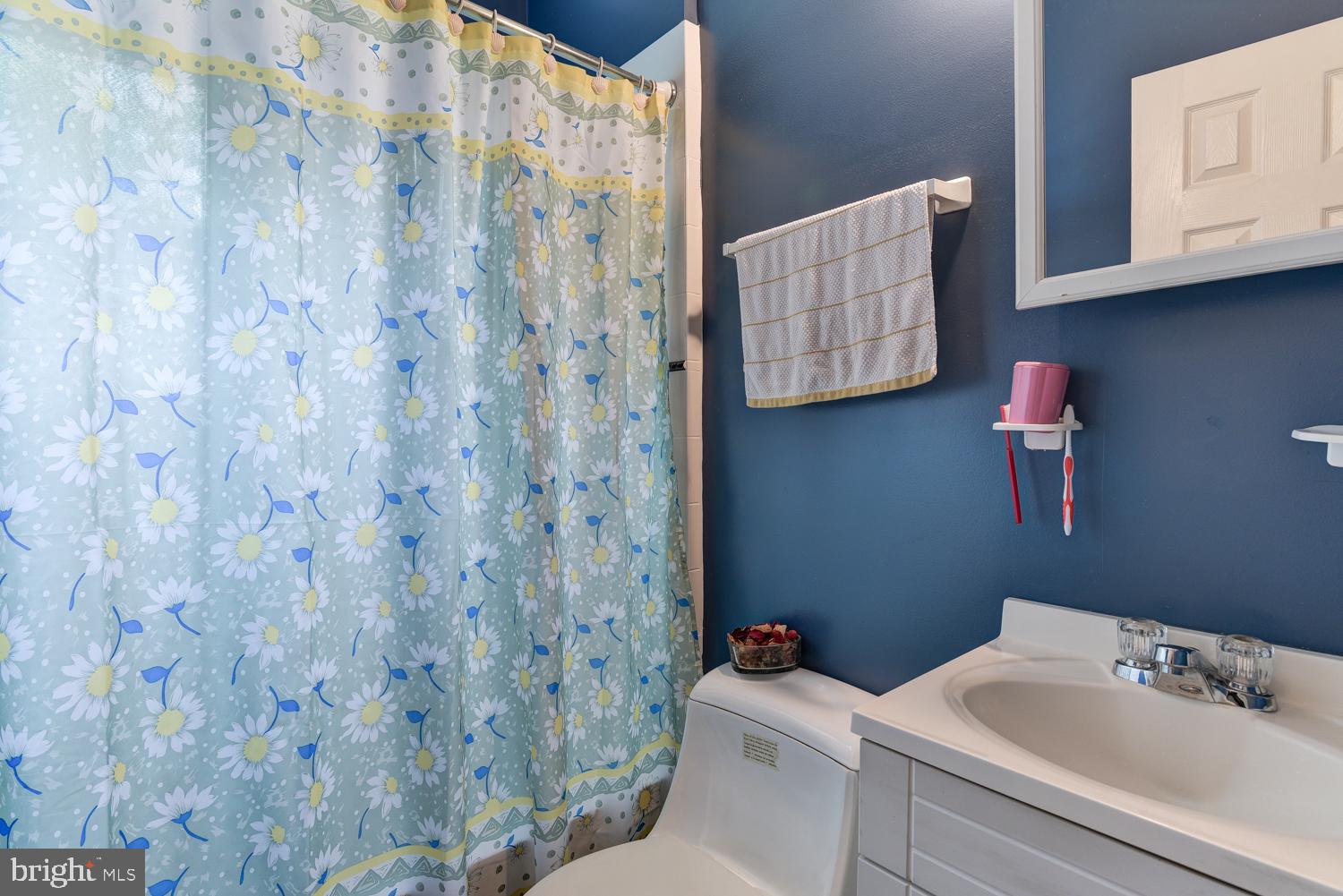 2614 Higbee Road Adelphi, MD 20783 - Photo 14 of 44 Main Level Bath (Separate Entrance)