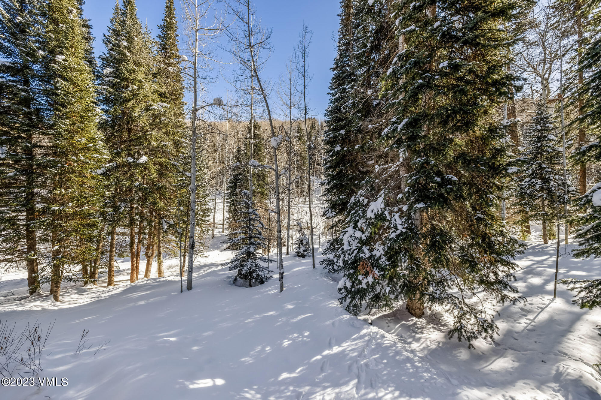 25 Casteel Creek Road Edwards, CO 81632 - Photo 11 of 87 a view of road and trees