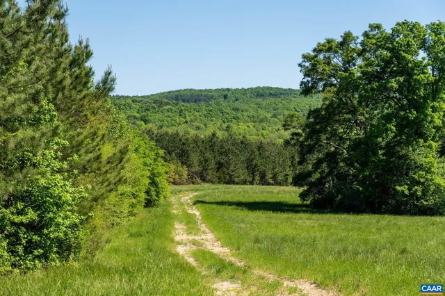 a view of a white house with a large tree