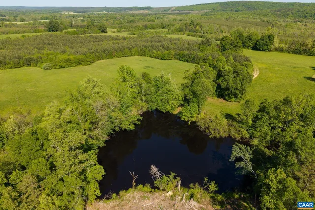 a view of a trees with a yard