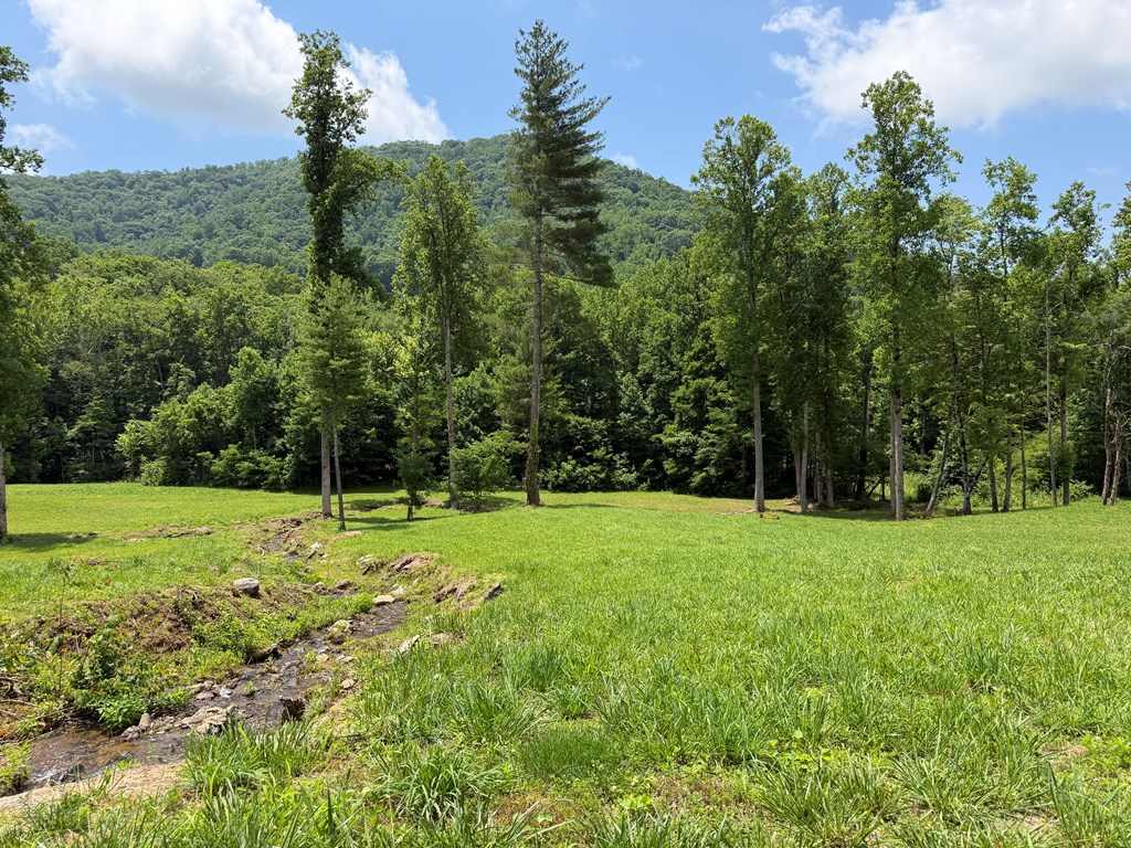 1446 Muskrat Creek Road Hayesville, NC 28904 - Photo 84 of 108