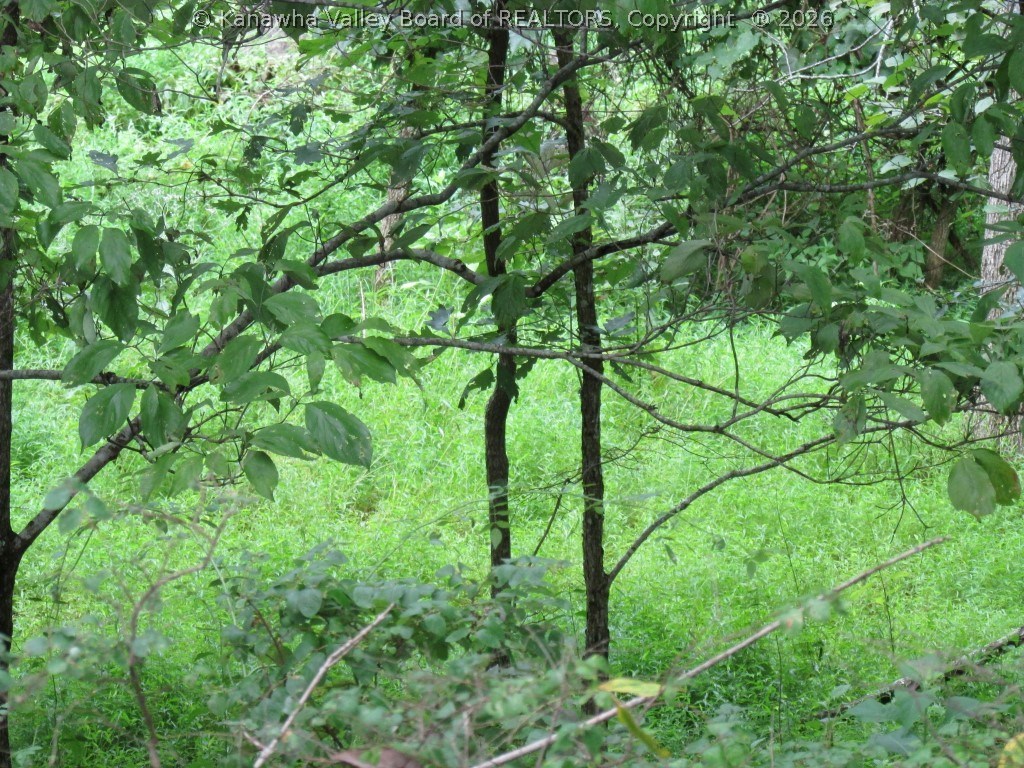 3624 Evergreen Road Fraziers Bottom, WV 25082 - Photo 10 of 14 Gallery Image 10