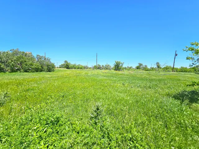 a view of a grassy field with trees in the background