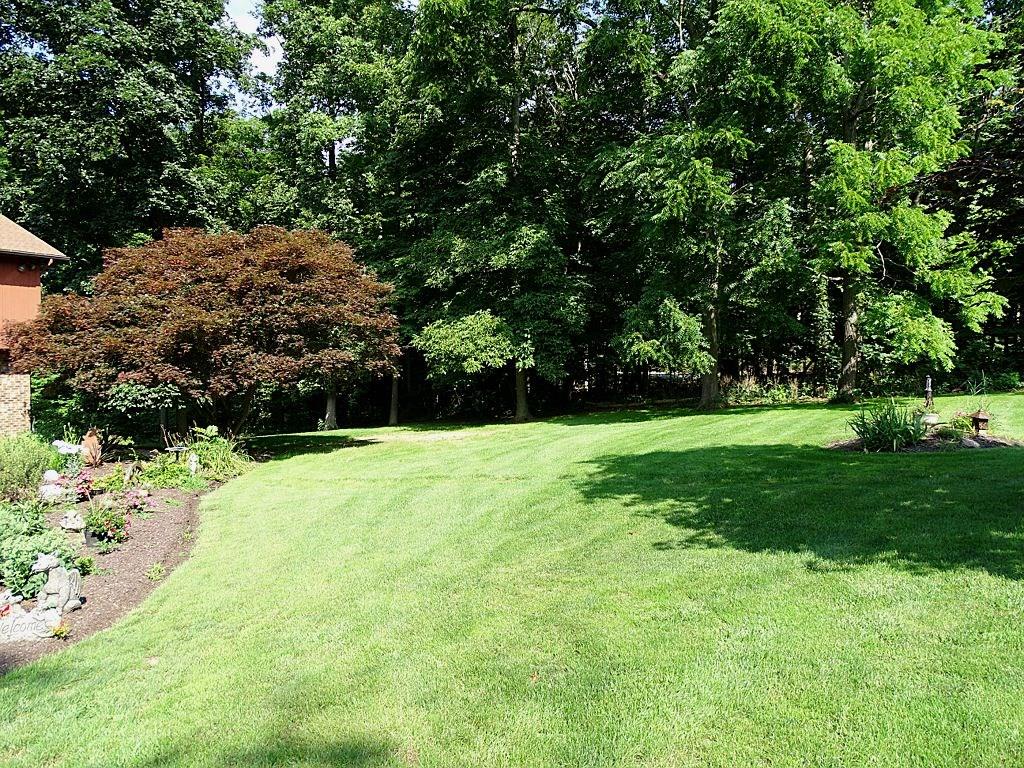 305 Linnwood Road Eighty Four, PA 15330 - Photo 20 of 25 Front yard
