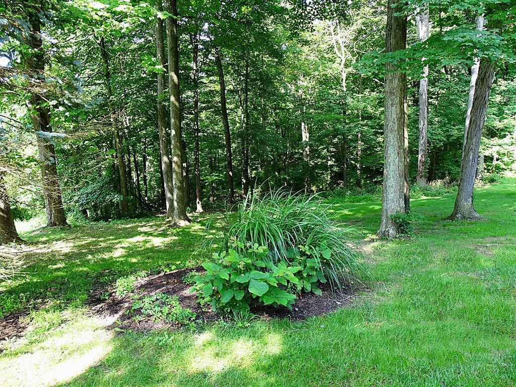 305 Linnwood Road Eighty Four, PA 15330 - Photo 22 of 25 Back yard