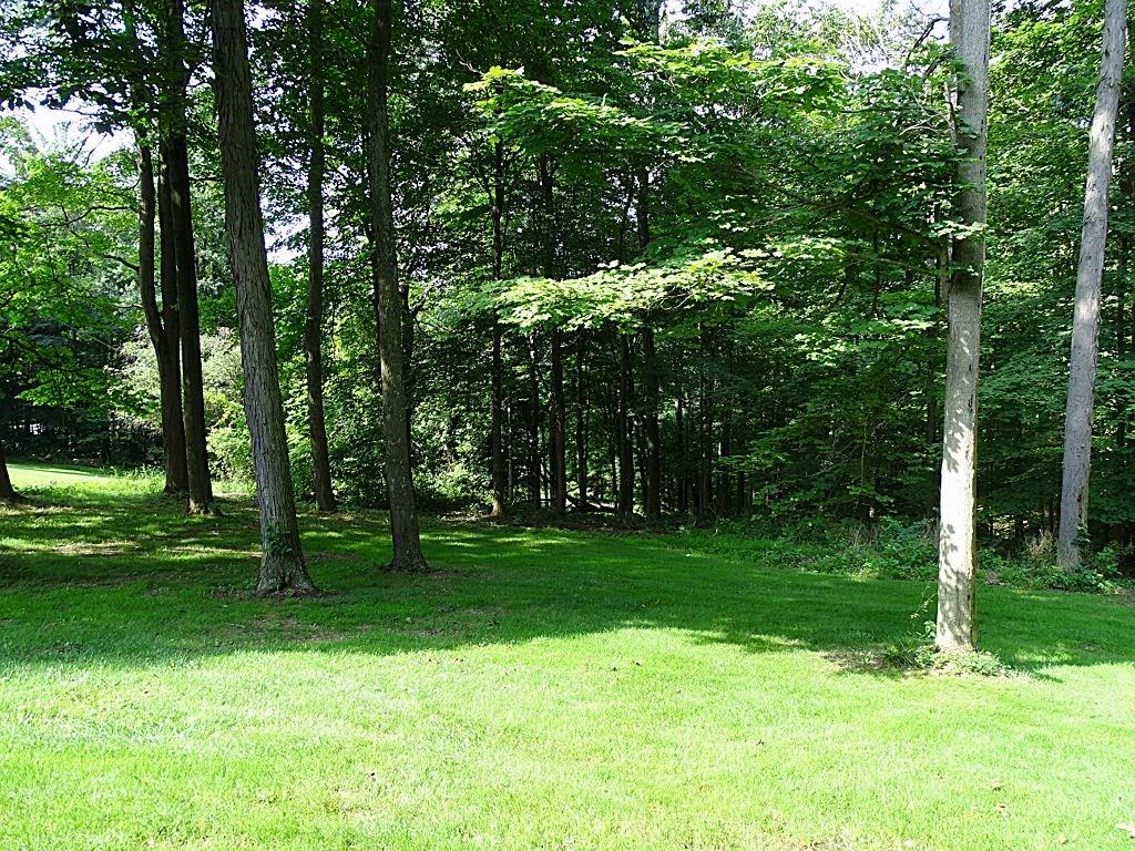 305 Linnwood Road Eighty Four, PA 15330 - Photo 4 of 25 2.5 Park-like private acres
