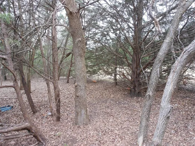 a view of a yard with large trees