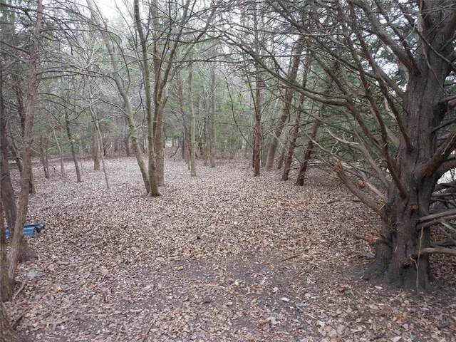 a view of a yard with lots of trees