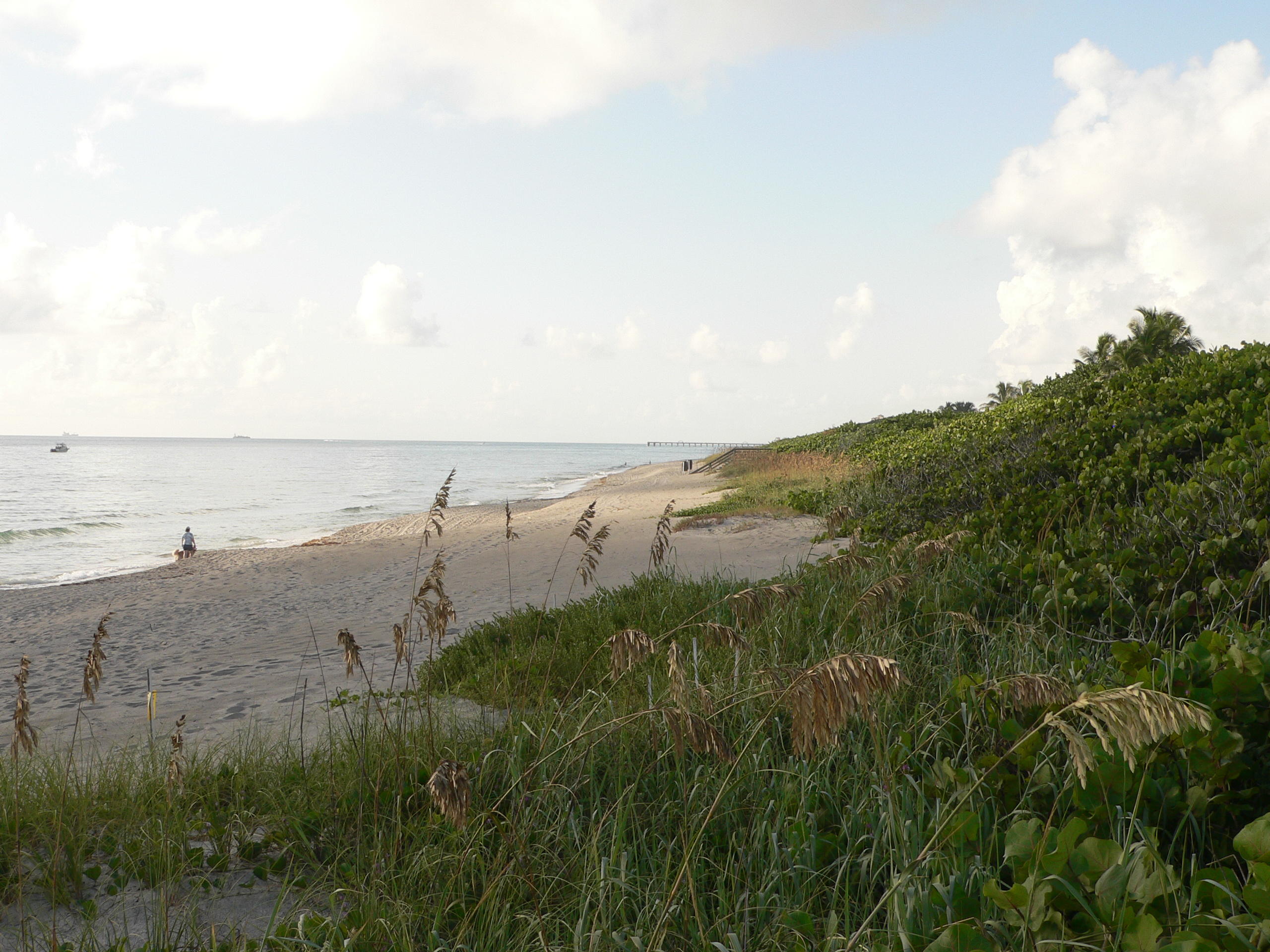 1605 Highway 1, Unit 8G Jupiter, FL 33477 - Photo 20 of 26 Jupiter Beach