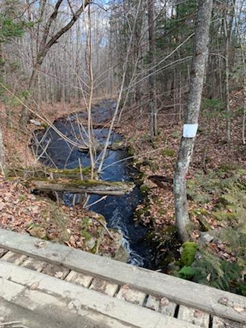 0 Longley Road Solon, ME 04979 - Photo 6 of 17 IMG950399