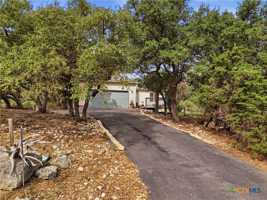 3075 Rustler Canyon Lake, TX 78133 - Photo 2 of 48 a view of a yard with plants and trees