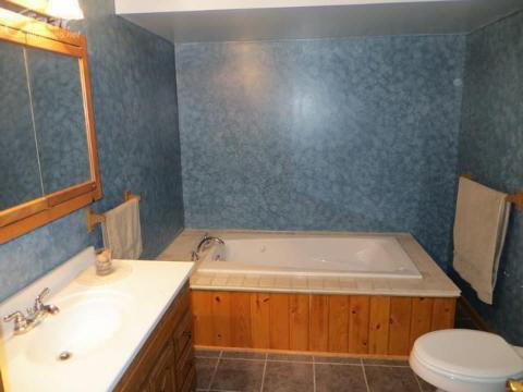 3343 East Frances Road Clio, MI 48420 - Photo 19 of 20 20352137-18.JPG