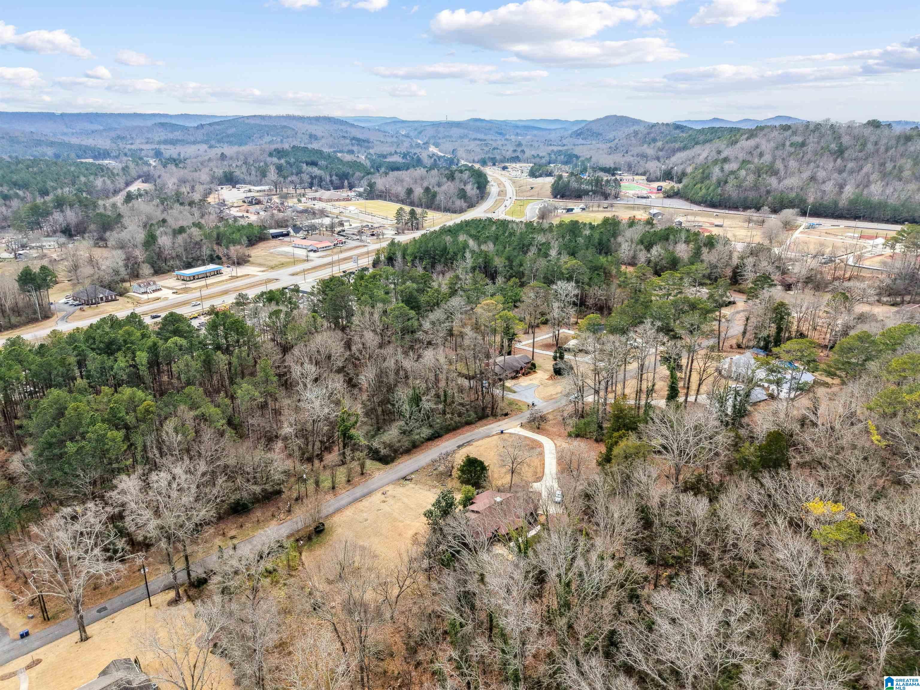 504 4th Avenue West Oneonta, AL 35121 - Photo 63 of 68