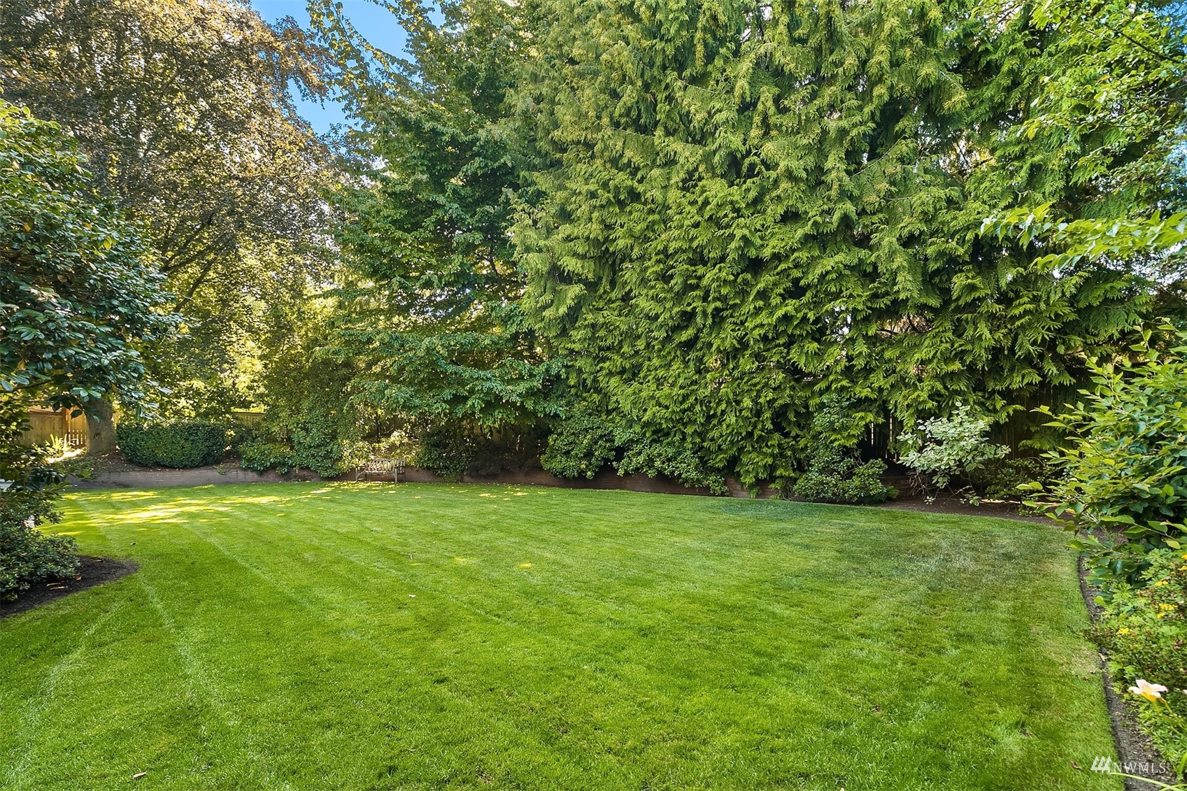 6560 Northeast Windermere Road Seattle, WA 98105 - Photo 27 of 35 a view of a green yard