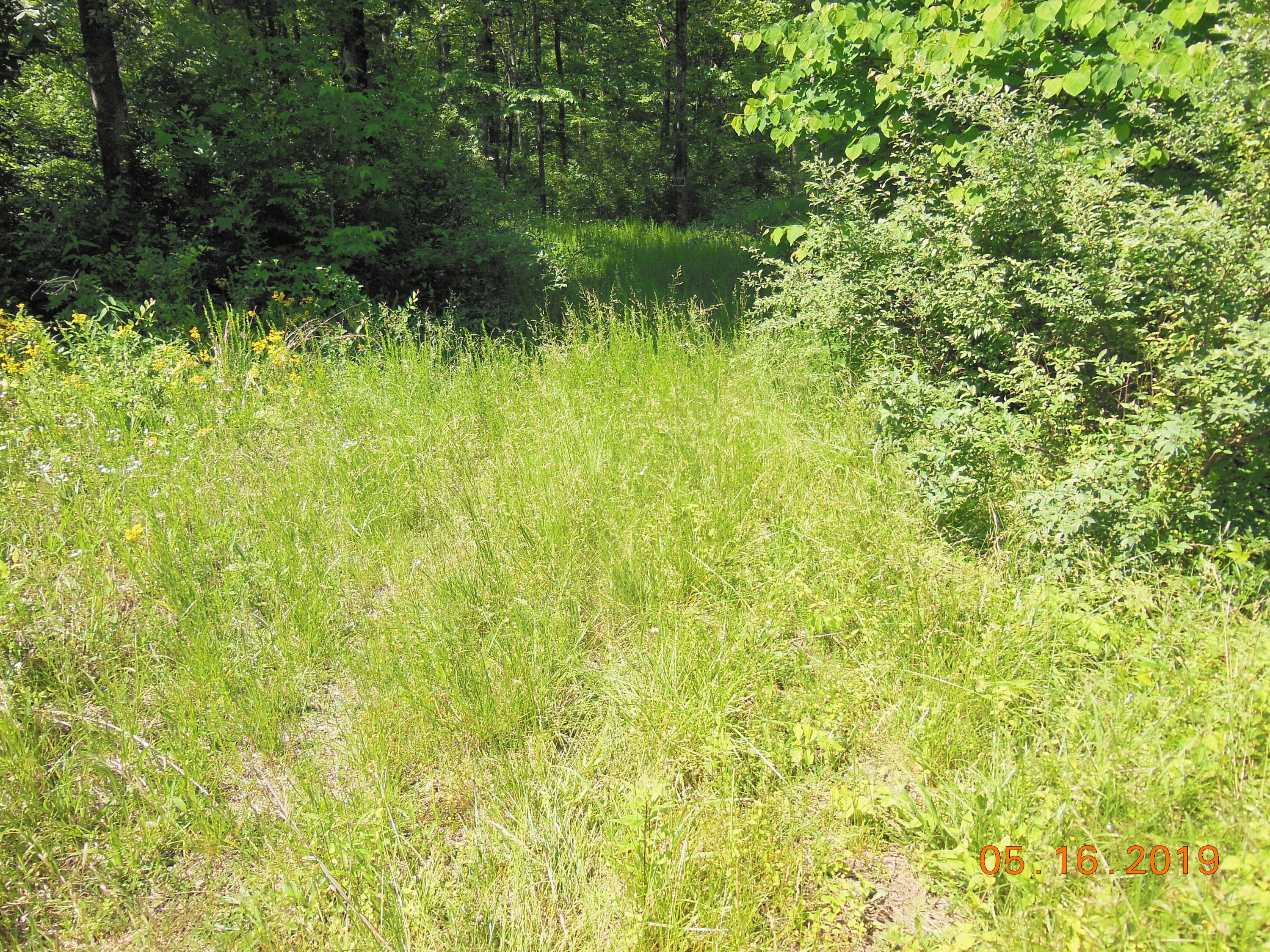 1162 Red Cloud Road Ten Mile, TN 37880 - Photo 3 of 9 DSCN9218