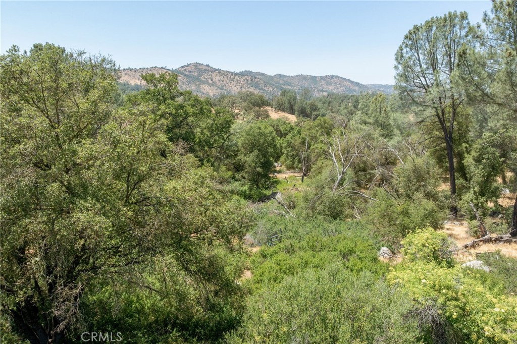 0 Dawn Road Mariposa, CA 95338 - Photo 14 of 57 a view of a mountain range with trees in the background