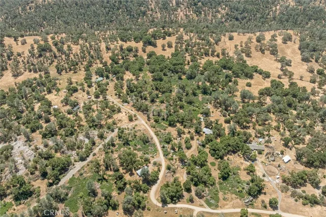 a view of a lush green forest with lots of trees
