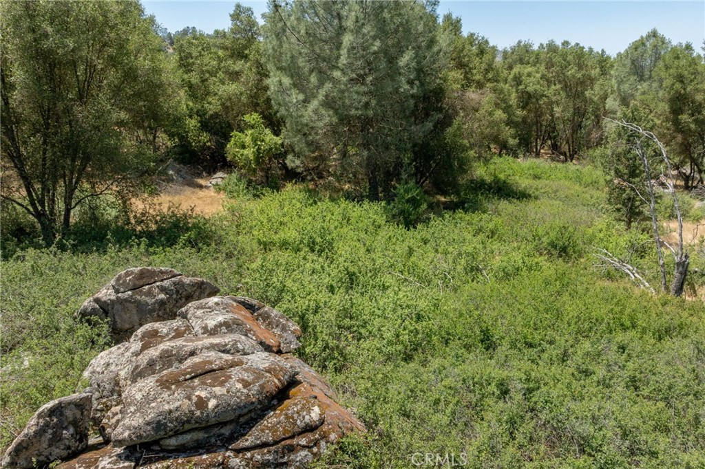 0 Dawn Road Mariposa, CA 95338 - Photo 20 of 57 a view of a backyard of the house
