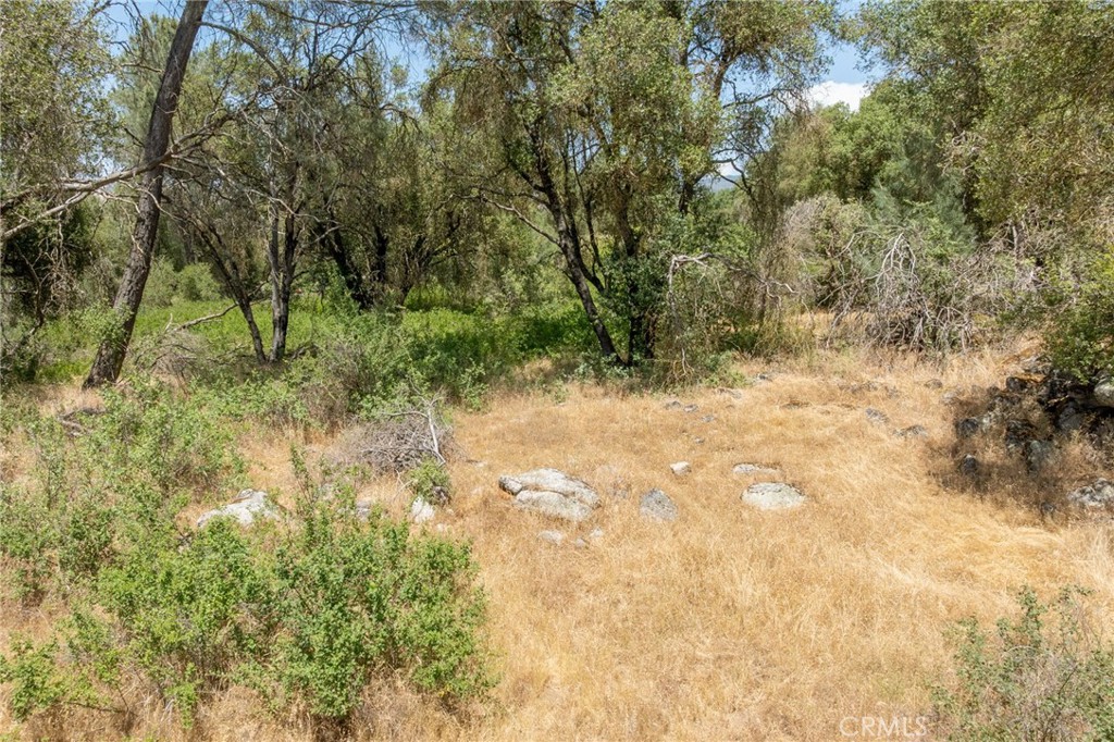 0 Dawn Road Mariposa, CA 95338 - Photo 23 of 57 a view of a yard with trees