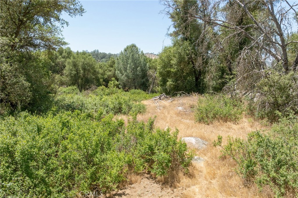 0 Dawn Road Mariposa, CA 95338 - Photo 39 of 57 a view of a yard covered with trees