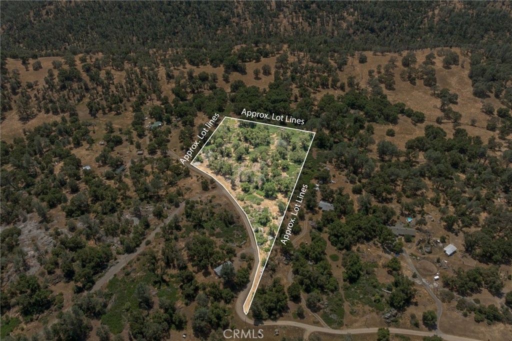 0 Dawn Road Mariposa, CA 95338 - Photo 43 of 57 a view of a yard with a tree