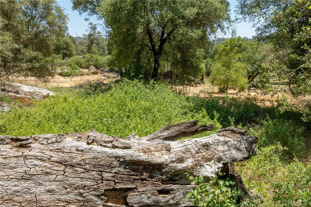 0 Dawn Road Mariposa, CA 95338 - Photo 50 of 57 a view of a pathway with a tree