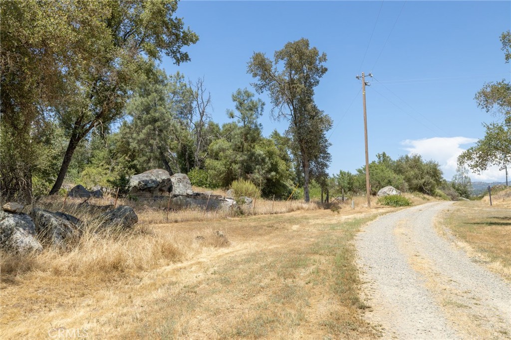 0 Dawn Road Mariposa, CA 95338 - Photo 56 of 57 a view of a yard with a tree
