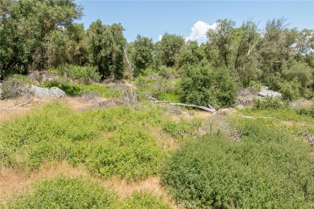 0 Dawn Road Mariposa, CA 95338 - Photo 6 of 57 a view of a yard with a tree