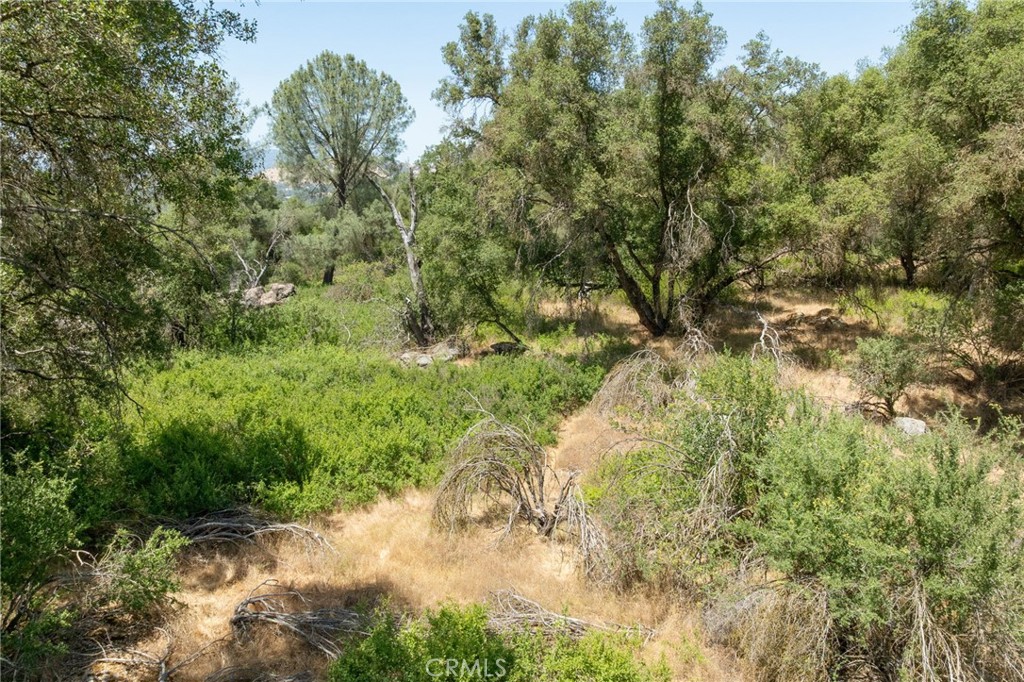 0 Dawn Road Mariposa, CA 95338 - Photo 7 of 57 a view of a yard with plants and large trees