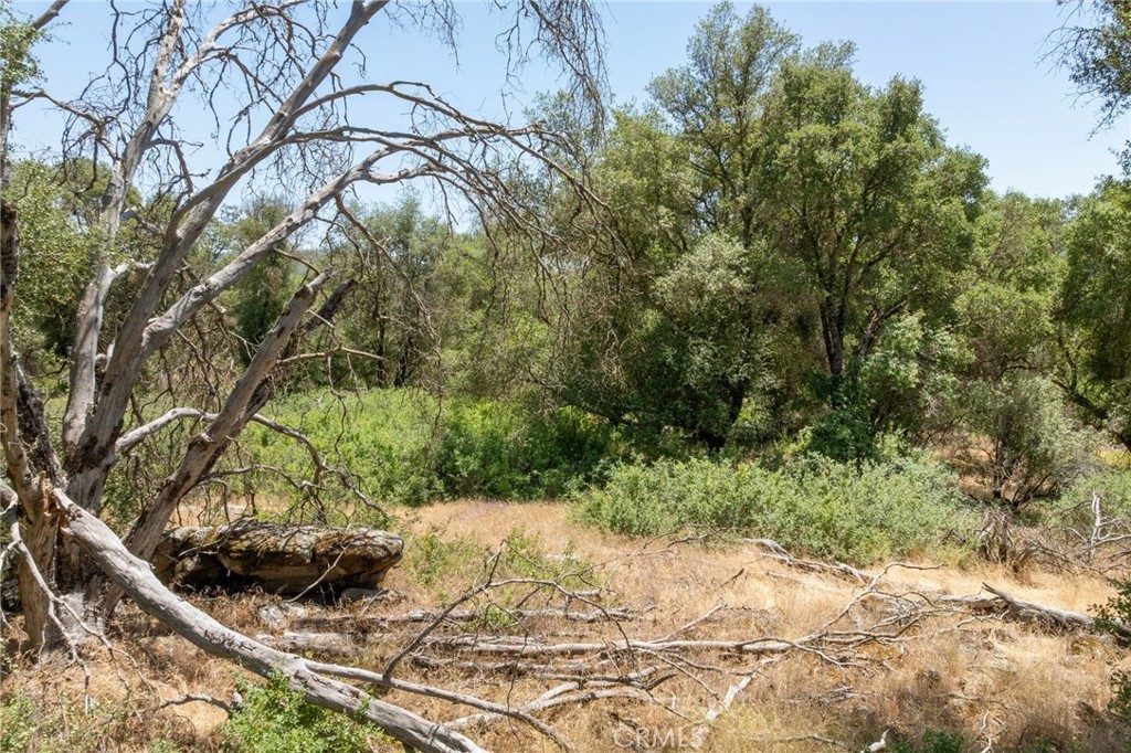 0 Dawn Road Mariposa, CA 95338 - Photo 9 of 57 a view of a backyard of the house