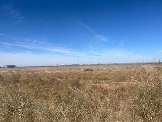 1 Fm 2192 Slaton, TX 79364 - Photo 3 of 7 wooden view of city and mountain
