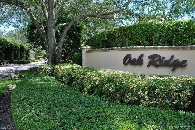 a view of a bunch of plants and trees