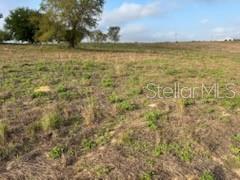 Muncie Road Babson Park, FL 33827 - Photo 11 of 11 a view of a lake view