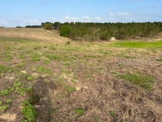Muncie Road Babson Park, FL 33827 - Photo 6 of 11 a view of an ocean and beach