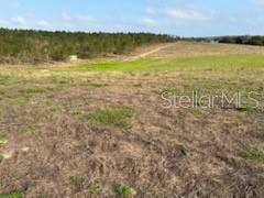 Muncie Road Babson Park, FL 33827 - Photo 7 of 11 a view of an ocean from a beach