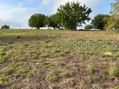 a view of a yard with an trees