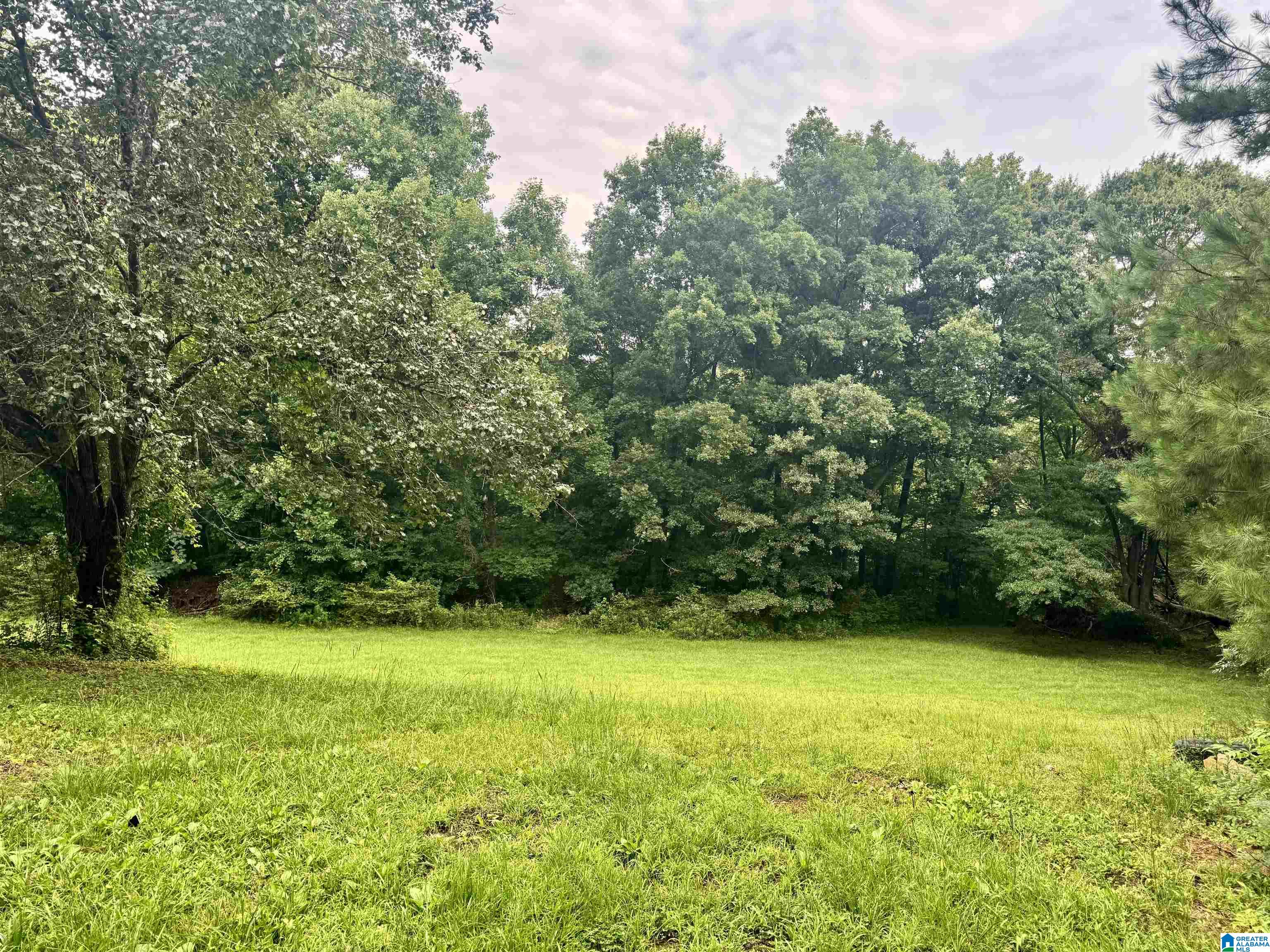 4455 McClendon Chapel Road Bessemer, AL 35022 - Photo 21 of 24