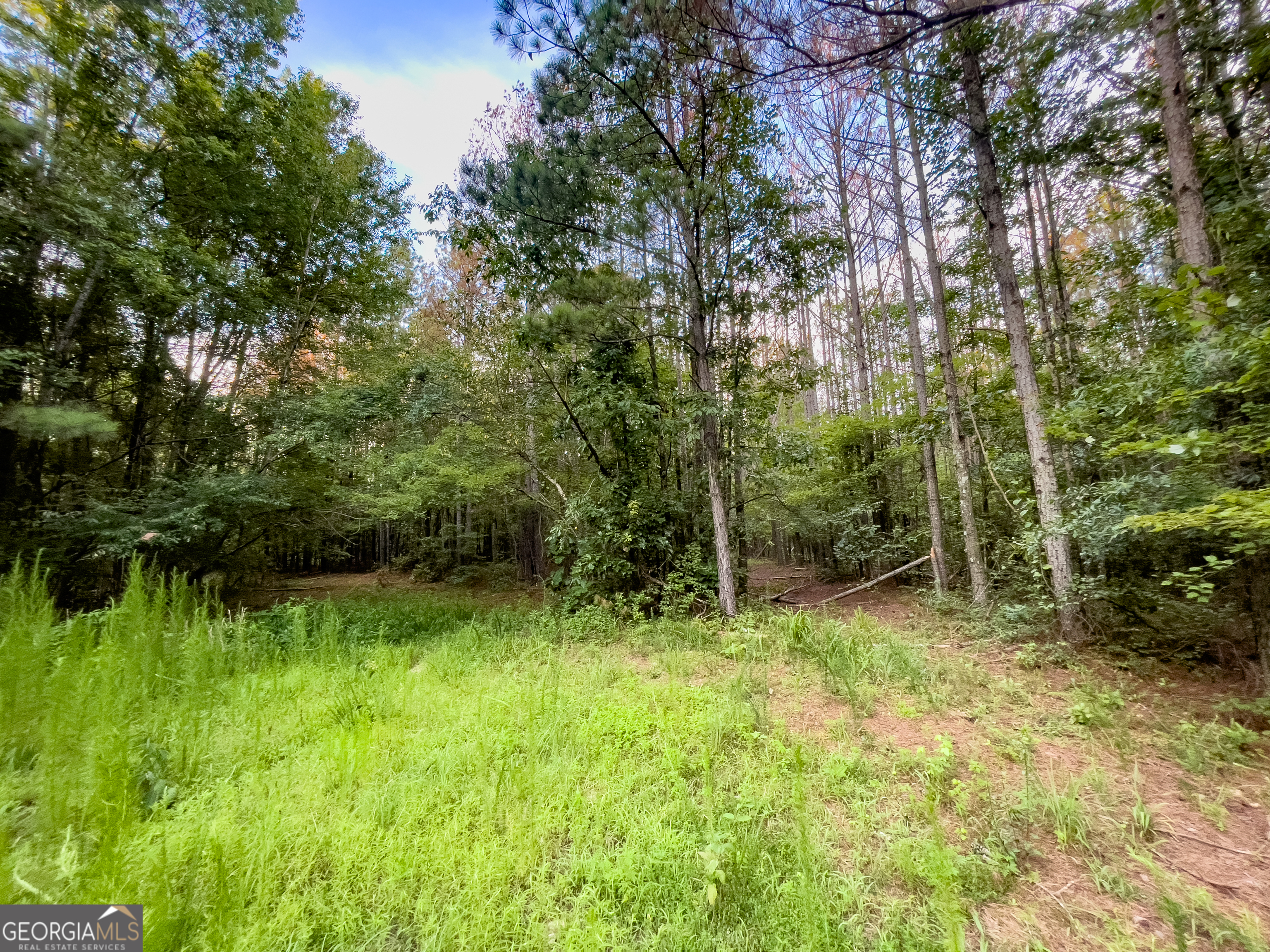 0 Caney Head Road Roopville, GA 30170 - Photo 15 of 22