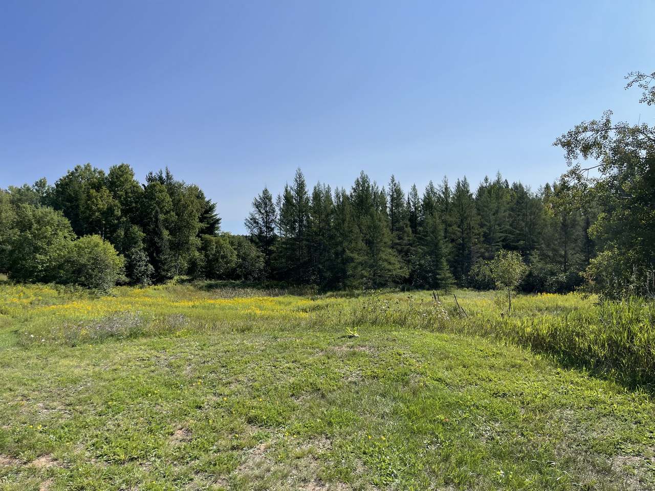 4574 Gagen Road Rhinelander, WI 54501 - Photo 9 of 22 Gallery Image 9