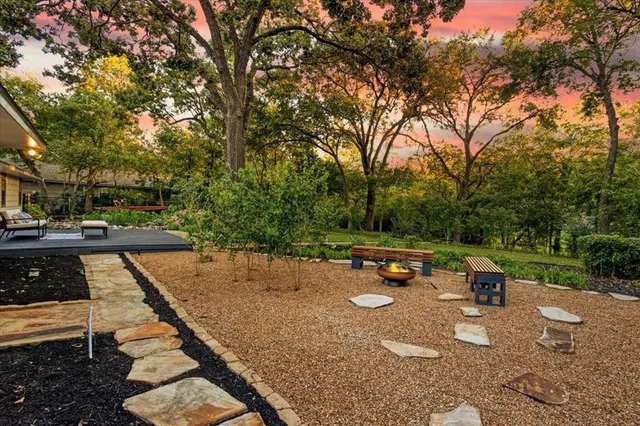 a view of a garden with a tree